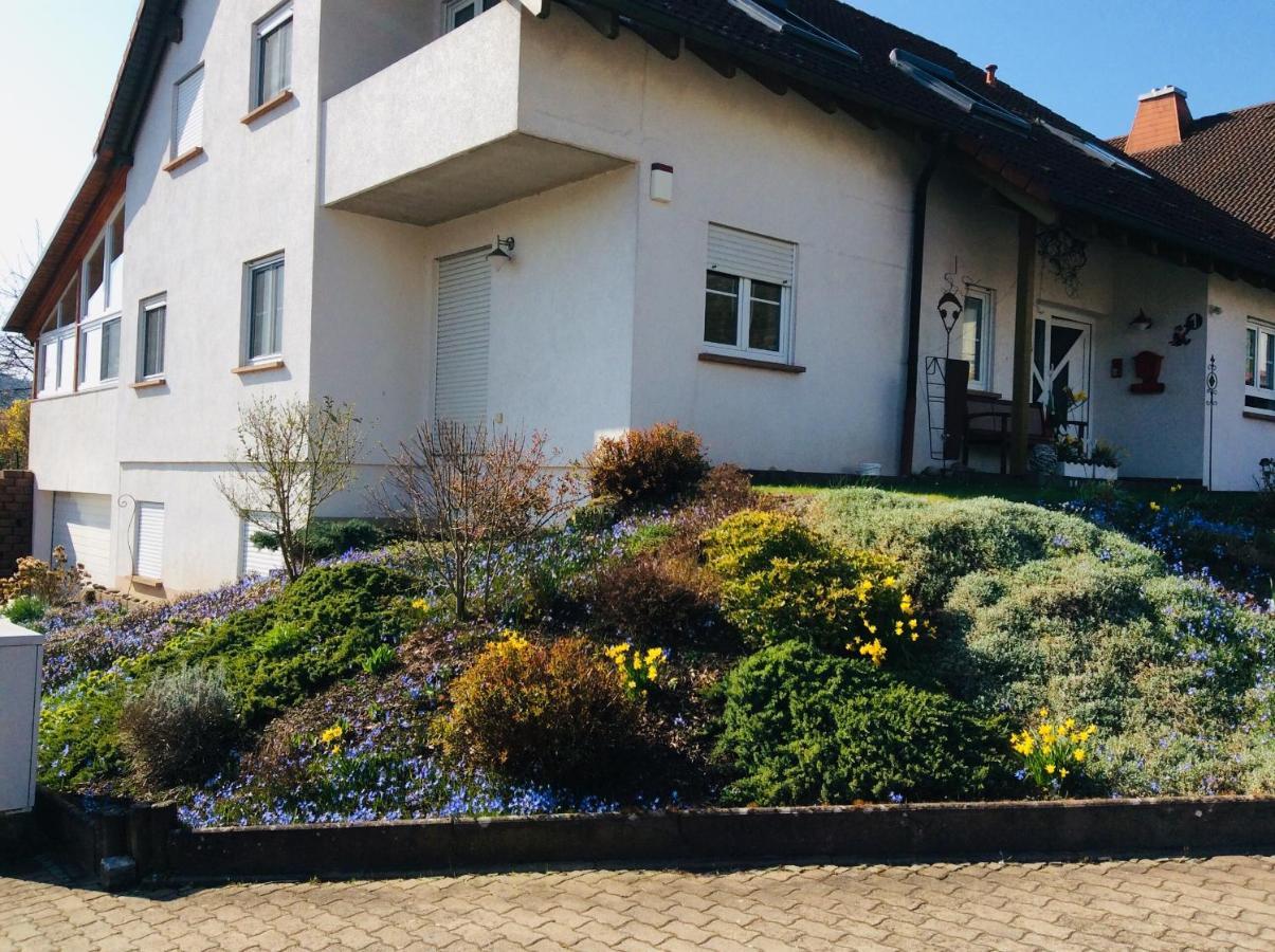 Fernblick Appartement Zweibrücken Buitenkant foto