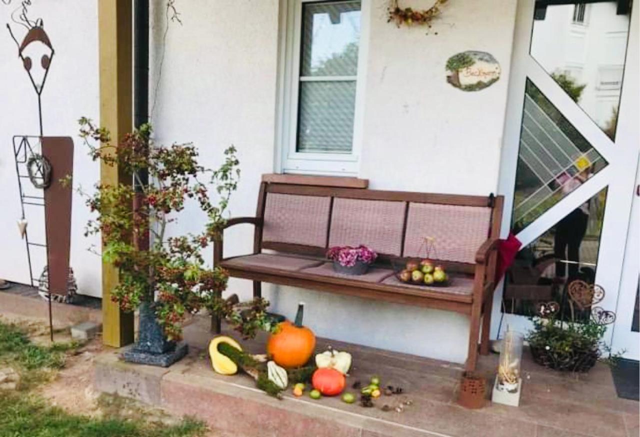 Fernblick Appartement Zweibrücken Buitenkant foto